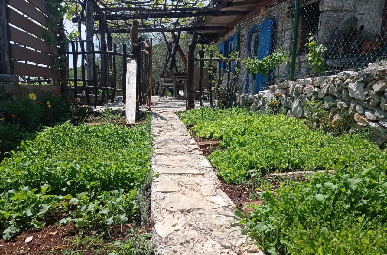 Casa Delle Olive Villa Mošćenička Draga Dış mekan fotoğraf