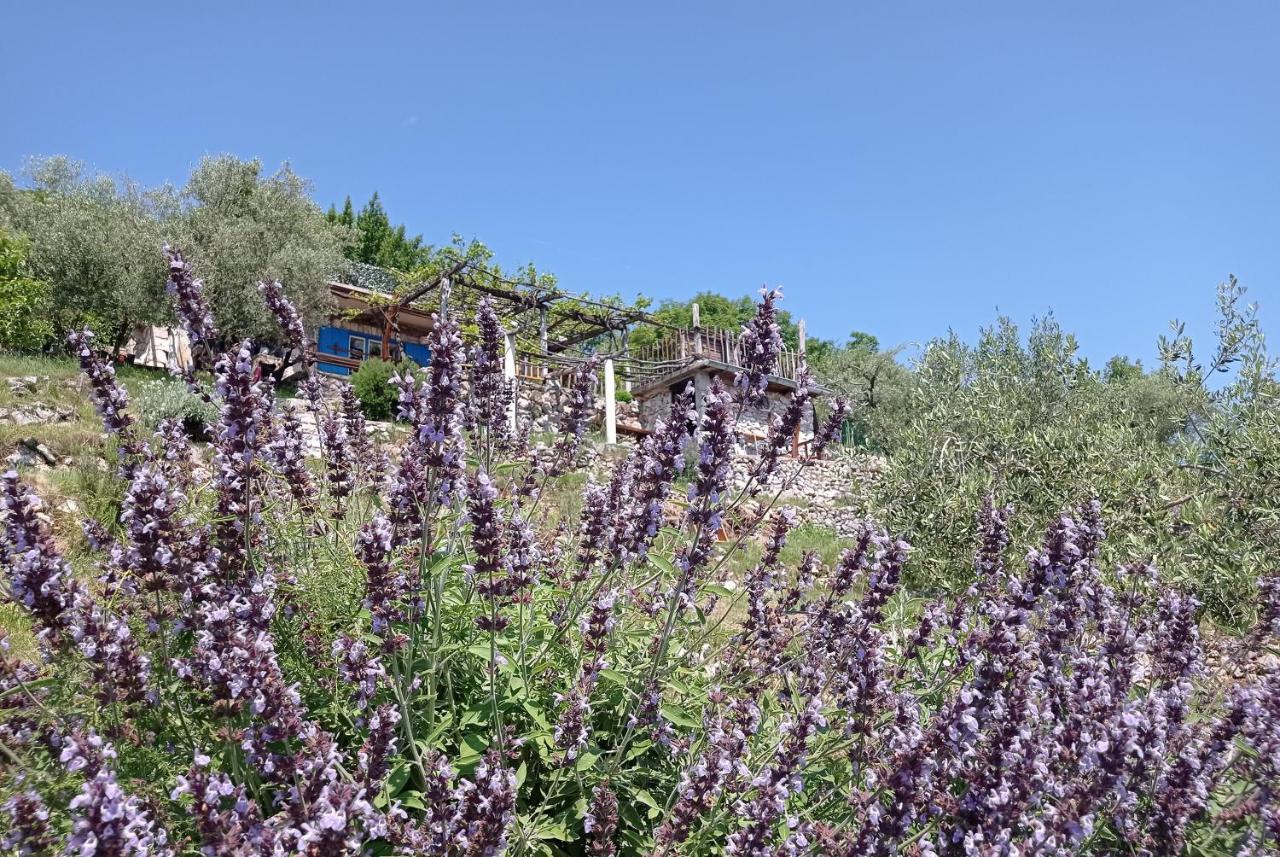 Casa Delle Olive Villa Mošćenička Draga Dış mekan fotoğraf