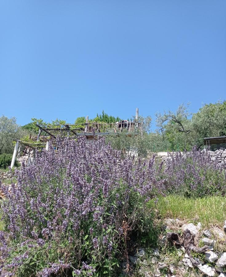 Casa Delle Olive Villa Mošćenička Draga Dış mekan fotoğraf
