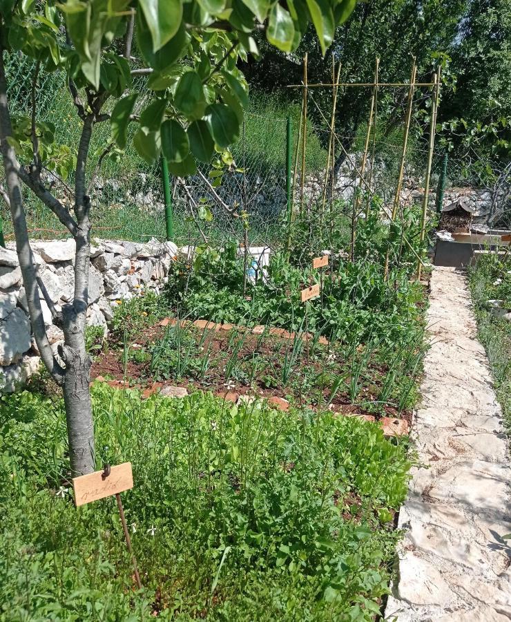 Casa Delle Olive Villa Mošćenička Draga Dış mekan fotoğraf