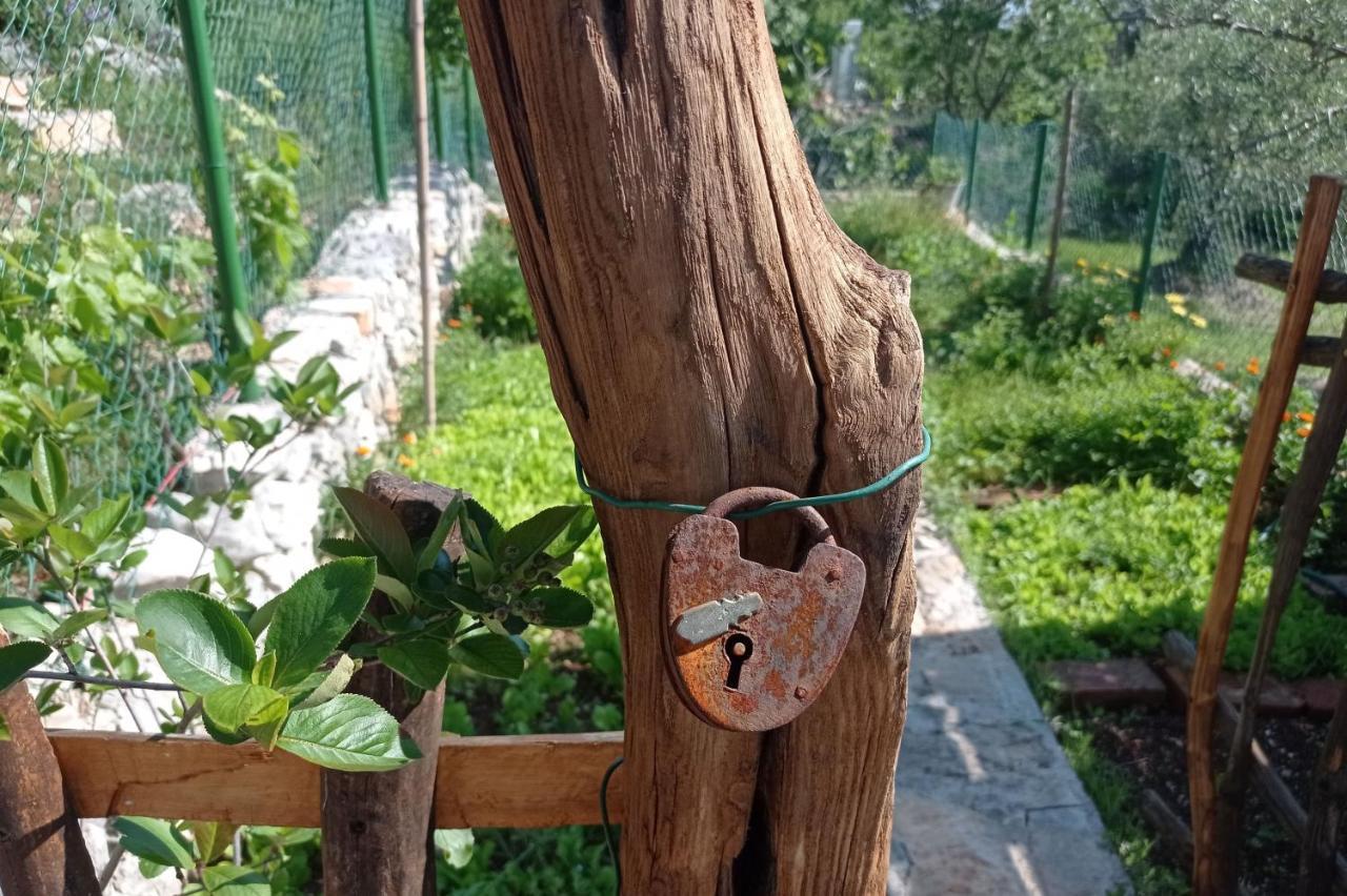 Casa Delle Olive Villa Mošćenička Draga Dış mekan fotoğraf