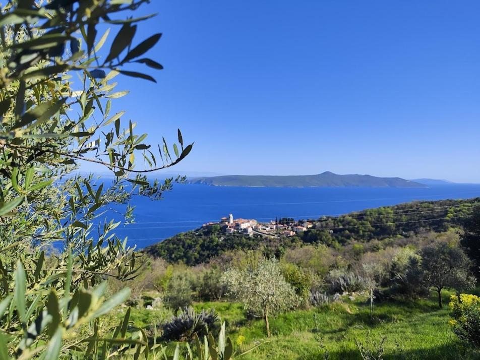 Casa Delle Olive Villa Mošćenička Draga Dış mekan fotoğraf